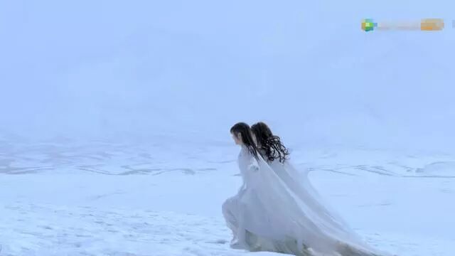 将夜豆瓣_将夜小说免费全文阅读将_将夜 笔趣阁