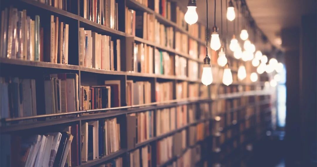 如何引导孩子的专注力