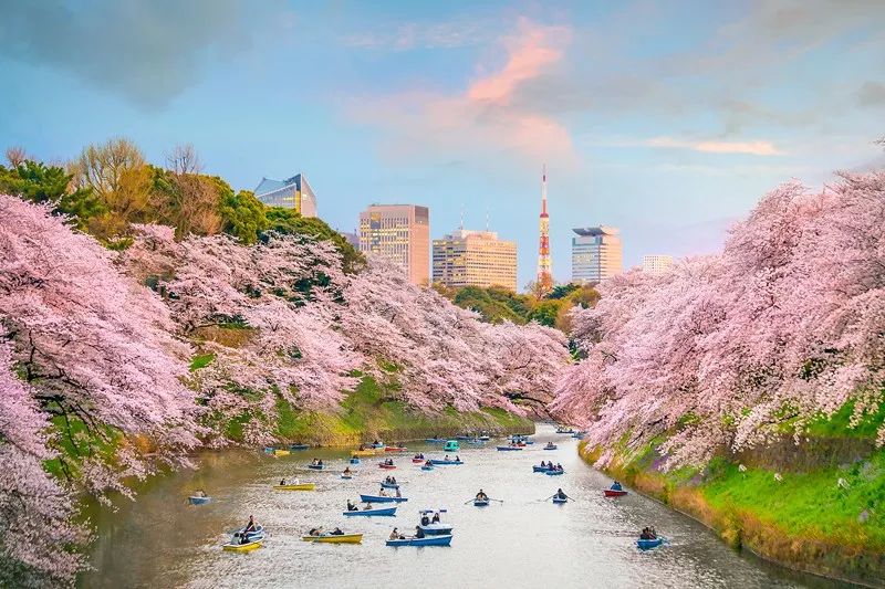 2019最強拼假攻略出爐，去日本就要這麼玩～ 旅行 第15張