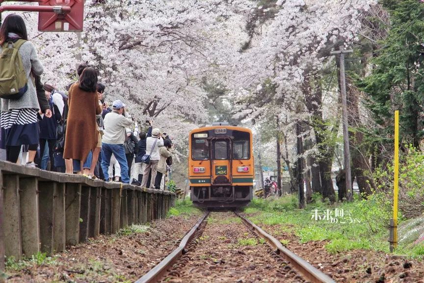 2019日本櫻花季首次預測！大眾冷門賞櫻地重磅推薦 未分類 第27張