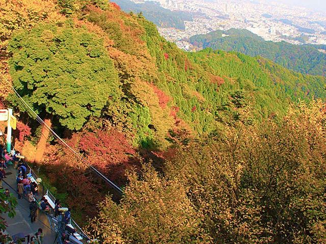 日本紅葉季最新預測來了！東京、大阪、京都最佳觀賞期已出~ 旅遊 第23張
