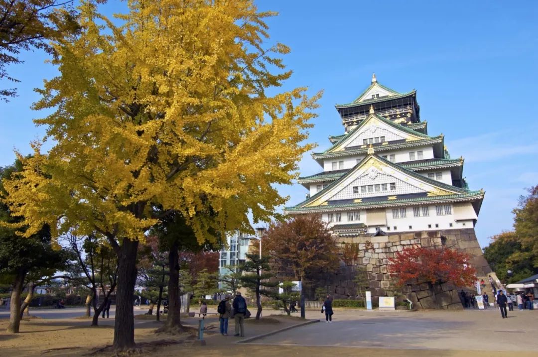 日本紅葉季最新預測來了！東京、大阪、京都最佳觀賞期已出~ 旅遊 第28張