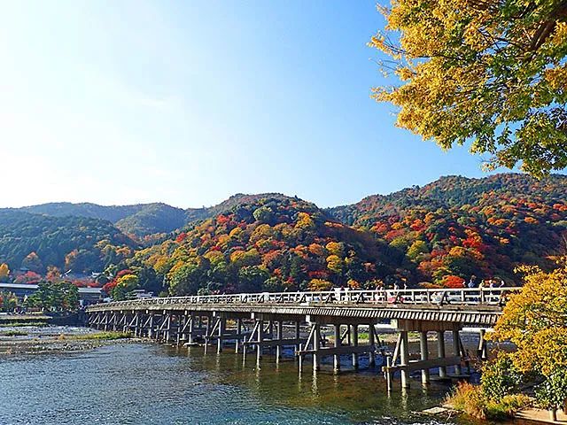日本紅葉季最新預測來了！東京、大阪、京都最佳觀賞期已出~ 旅遊 第15張