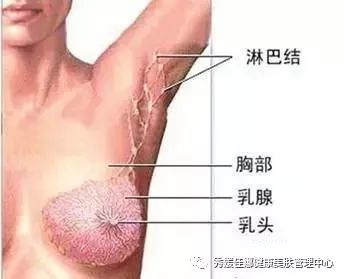 “全城传递，减少乳盲”呼吁所有女性关爱自己的乳房健康