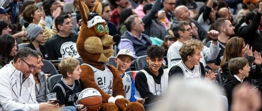 非正常马刺研究日志（二）