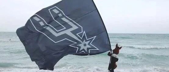 新的一年，期待我刺能“牛转乾坤”