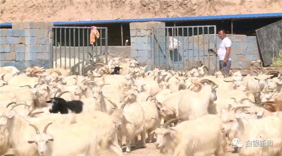 一户一策_脱贫享受政策户_一户一策