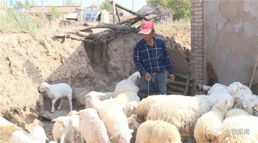 一户一策_脱贫享受政策户_一户一策