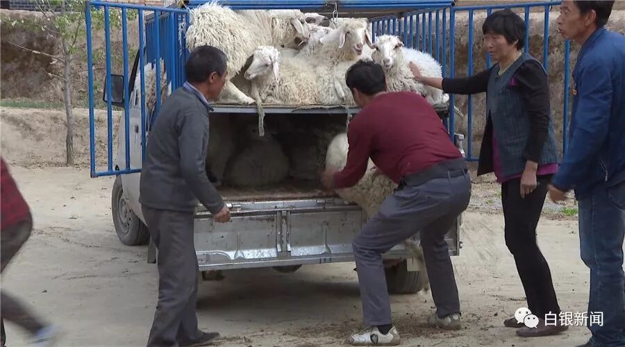 脱贫享受政策户_一户一策_一户一策