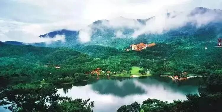 南海佛学院社会工作与慈善管理专业2021年本科班扩招