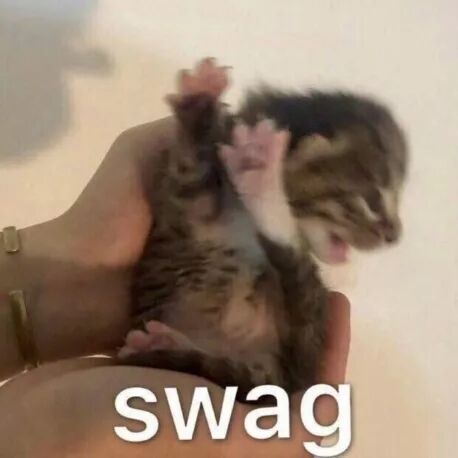 雅漾的护肤_雅漾的护肤品的功效_雅漾的护肤品怎么样