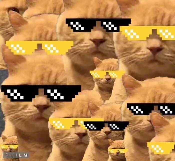 雅漾的护肤品怎么样_雅漾的护肤品的功效_雅漾的护肤