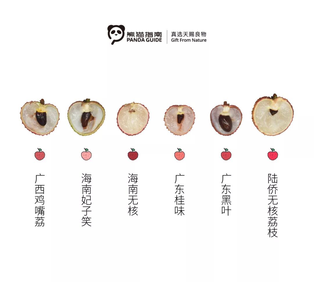 十大品种荔枝排名_荔枝品种排名_品种排名荔枝排第几