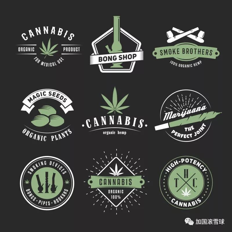 大麻合法化 大麻味试damawish Com