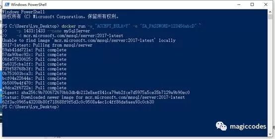 Docker最全教程——数据库容器化（十） 