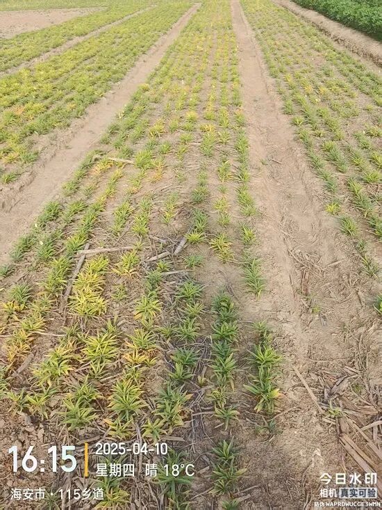 微信图片_20251218154340_789_172