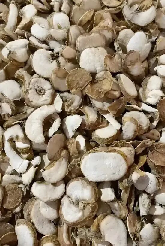 药市明星浙贝母：供需变局下的市场新篇