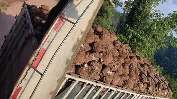 微信图片_20251125163949_231_652