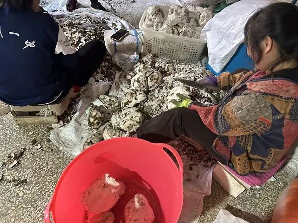 微信图片_20251125163950_233_652