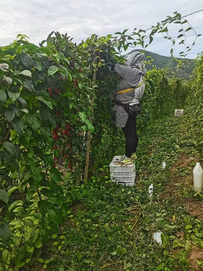 微信图片_20251201112715_70_106