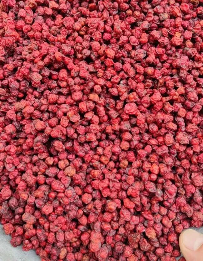 微信图片_20251201111030_69_106