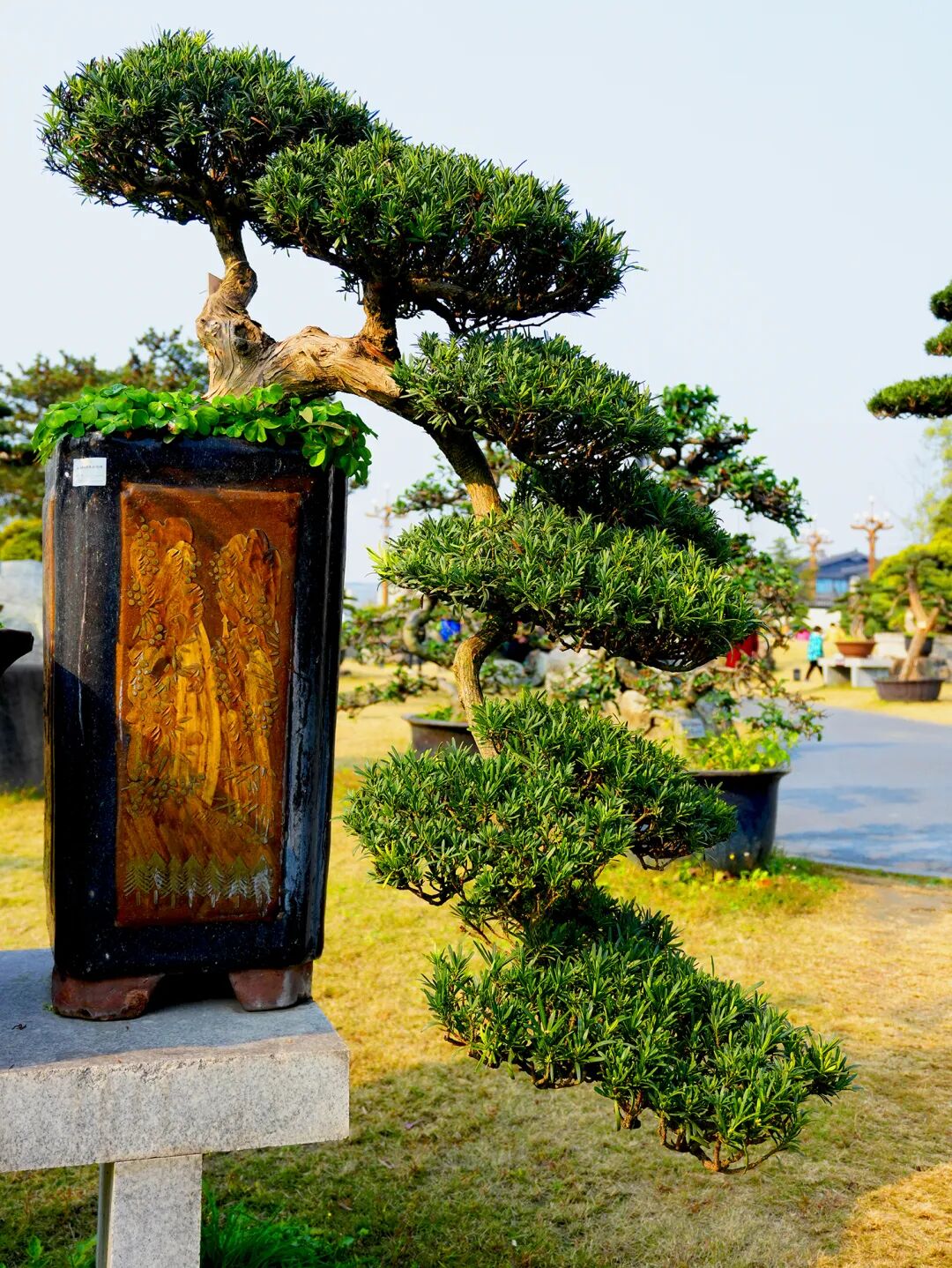 错过等一年！金牛这里换上夏日限定装扮插图17