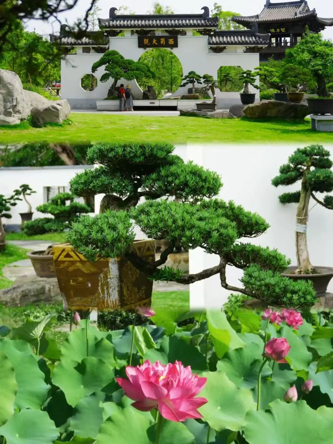 错过等一年！金牛这里换上夏日限定装扮插图