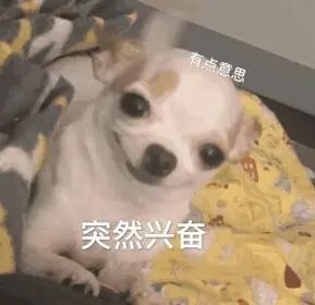 飞利浦都有哪些系列CT设备再升级 ｜ 飞利浦极速ICT，更大程度满足影像检查需求！_https://www.jmylbn.com_新闻资讯_第4张