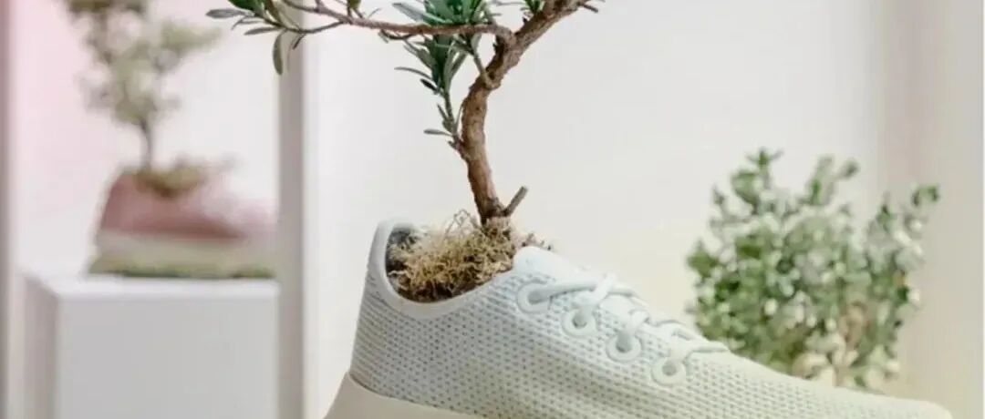 如今送礼最流行低碳？那么送这些就准没错儿！