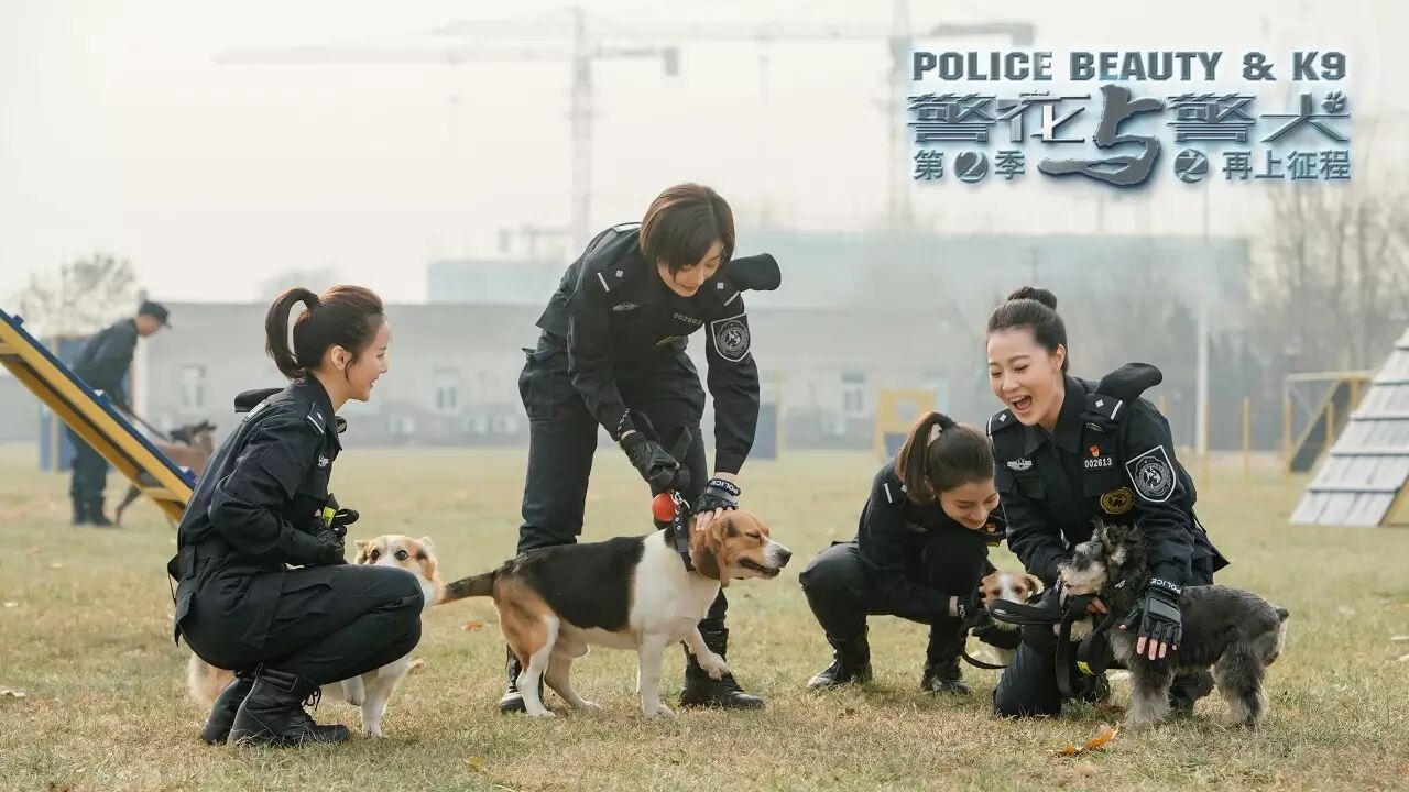 非凡的夜猫子专访警花与警犬之再上征程编剧李刚第1108期