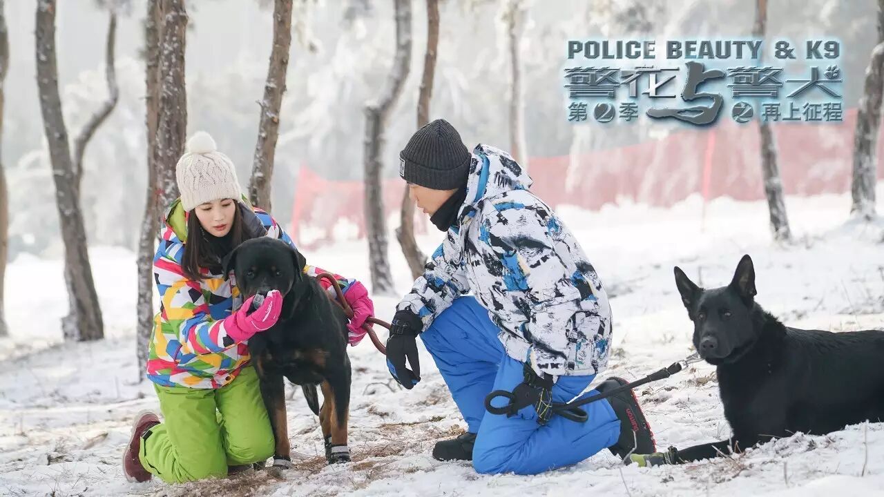 非凡的夜猫子专访警花与警犬之再上征程编剧李刚第1108期