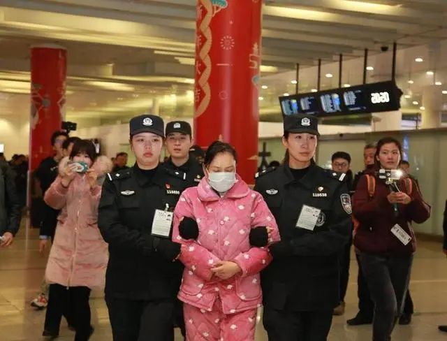 立案侦查网贷平台