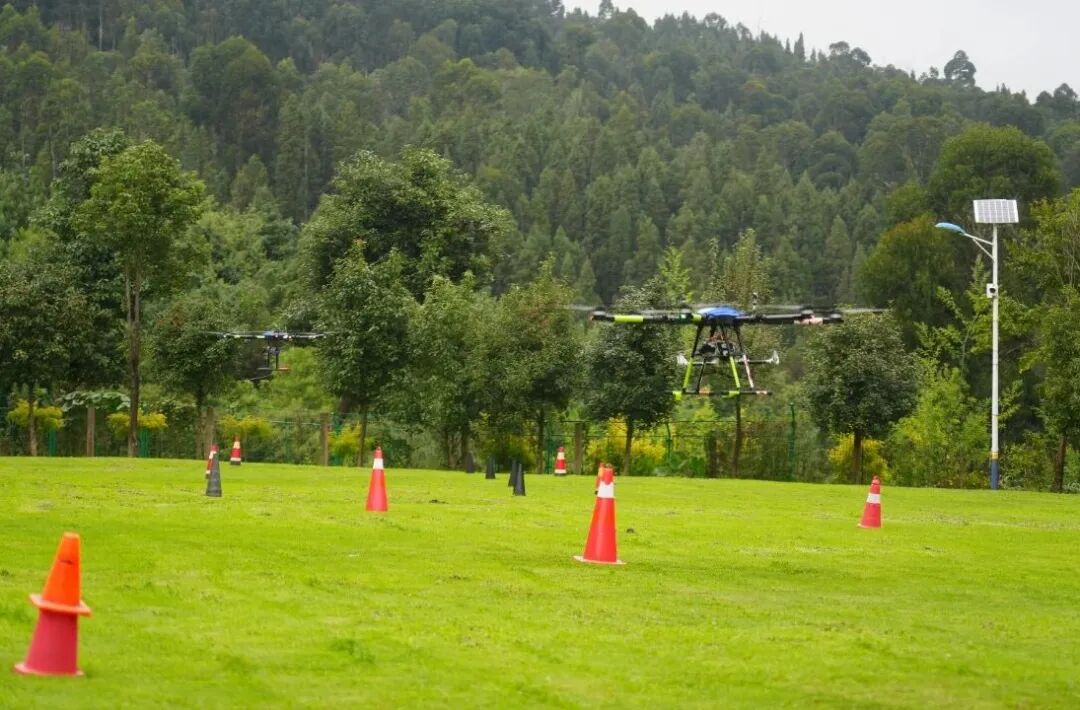 服务涵盖昆明无人机培训、昆明保安服务、昆明物业服务、昆明宠物医疗美容、昆明职业技能培训服务、昆明广告策划、昆明安防监控。