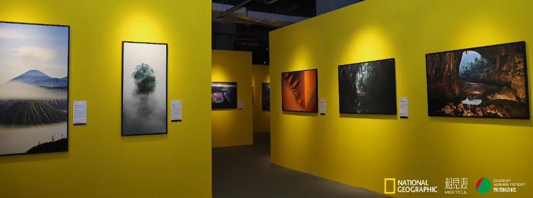 展览艺术家_展览艺术品_艺术展览