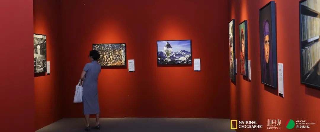 展览艺术家_艺术展览_展览艺术品
