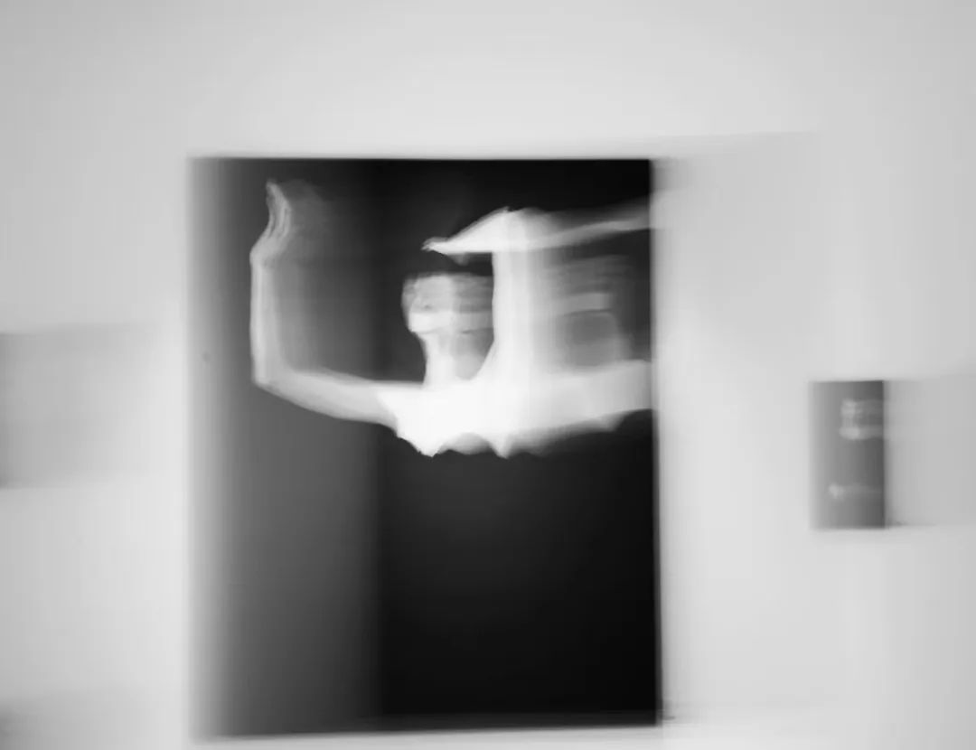 艺术展览_展览艺术家_展览艺术品