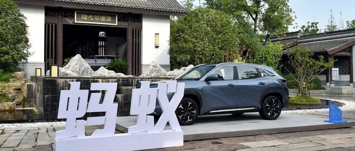 结合"自然美学"设计理念 实拍奇瑞新能源蚂蚁