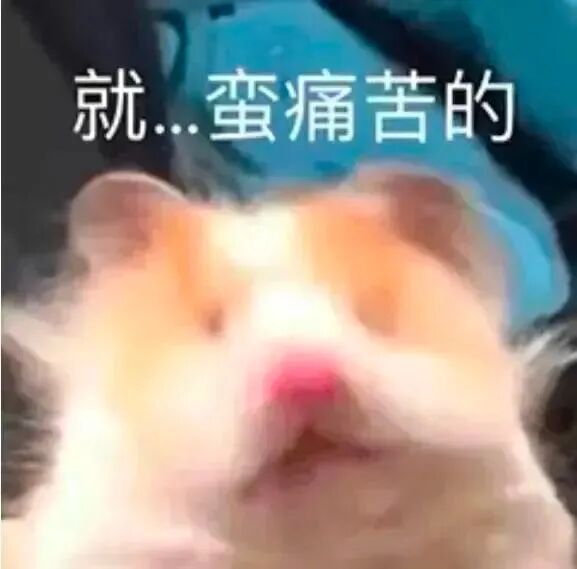 输尿管鞘是什么结石的“狙击手”——输尿管软镜结合前端可弯曲负压吸引鞘清石技术_https://www.jmylbn.com_新闻资讯_第2张