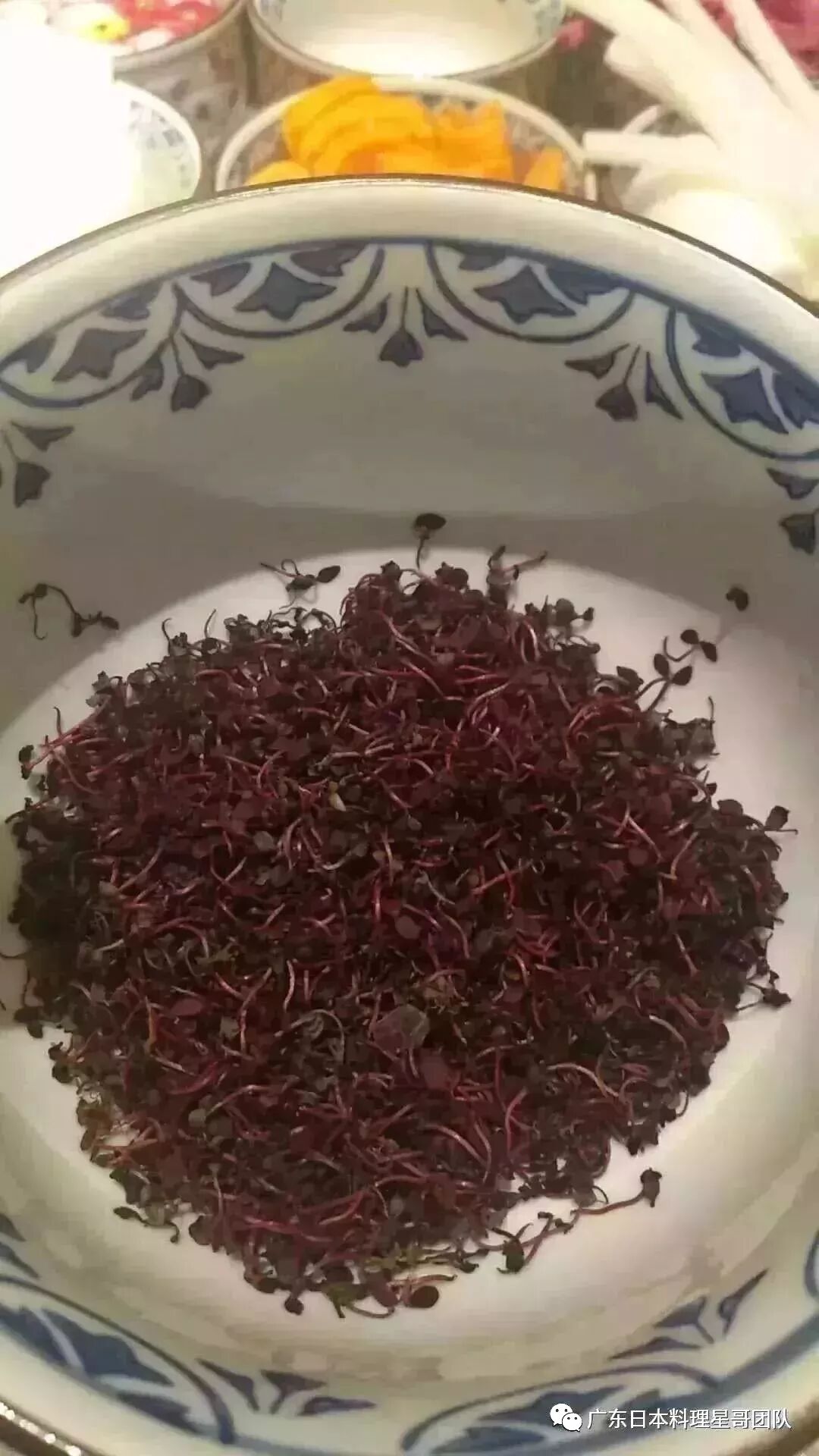 日本料理摆盘装饰大全 日料行业信息共享 微信公众号文章阅读 Wemp