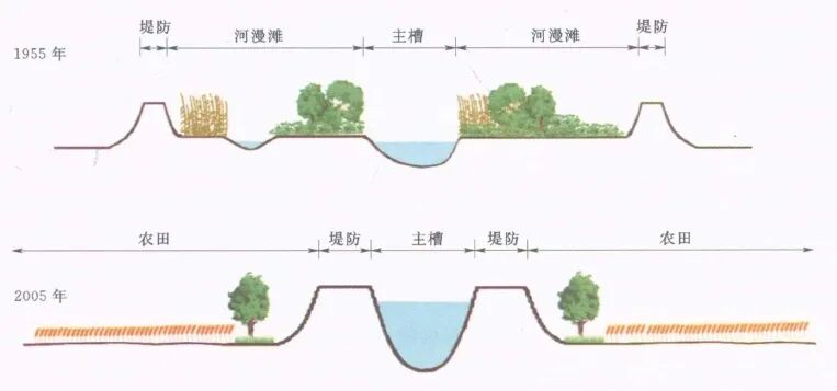 知识分享 | 水生态修复，修复的是什么？