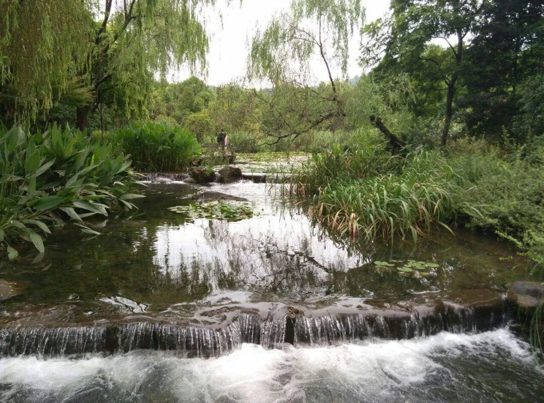 知识分享 | 水生态修复，修复的是什么？