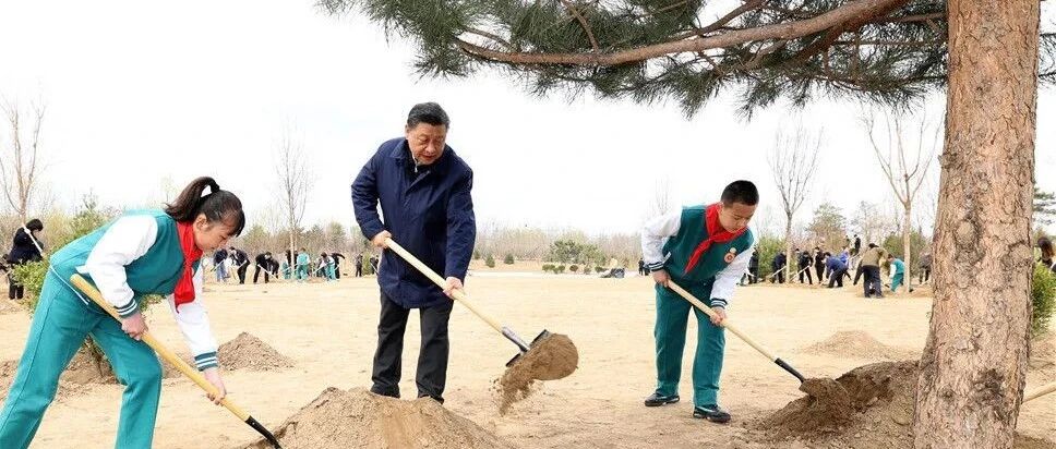 习近平参加首都义务植树活动