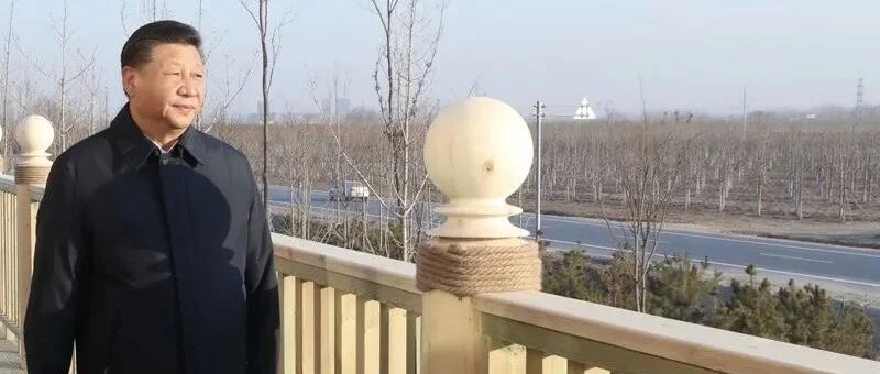 习近平和雄安新区