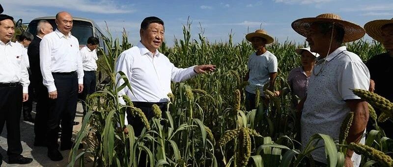 习近平的“三农情结”