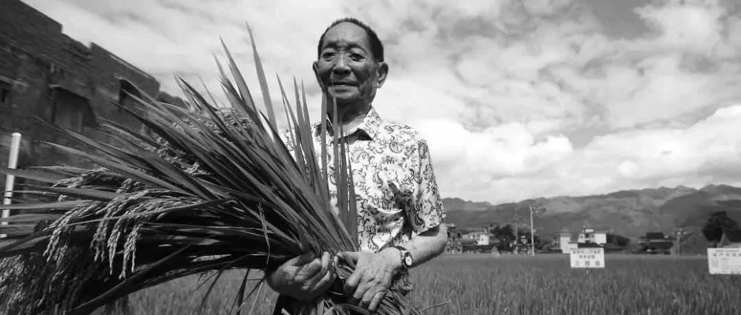 习近平委托湖南省委书记专程看望袁隆平家属