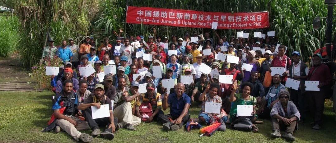 习近平点赞的“小而美”项目，长啥样？