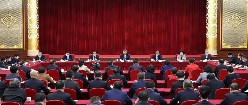 习近平：“枝叶总关情”