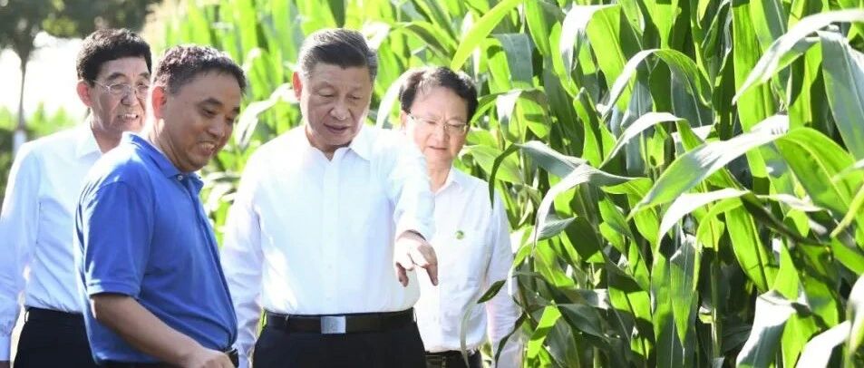 习近平：我十分关心粮食生产和安全