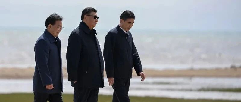 总书记的两会约定｜“这说明生态保护见效了”