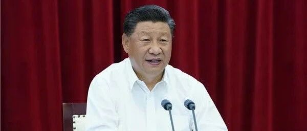 习近平：推动长三角一体化发展不断取得成效